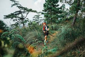 BIB: 
                            <button type="button" onclick="openModal(25259538)" class="btn btn-primary btn-sm float-right btn-popup" data-toggle="modal" data-target=".modal-high-quality">
                        <i class="fas fa-shopping-cart"></i> Add to Cart
                    </button>
                                            <button type="button" onclick="isThisMe(25259538, true)" class="btn btn-success btn-sm float-right btn-popup btn-isme hidden" data-toggle="tooltip" data-placement="bottom" title="นี่คือรูปของคุณใช่ไหม คลิกที่นี่เพื่อเอาเข้าอัลบั้ม">
                        <i class="fas fa-plus"></i> Add to album
                    </button>
                    <button type="button" onclick="isThisMe(25259538, false)" class="btn btn-warning btn-sm float-right btn-popup btn-isnotme hidden">
                        <i class="fas fa-ban"></i> Remove from album
                    </button>